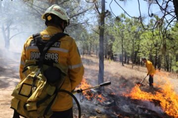 Brigadas atienden incendio forestal en Madero: Cofom