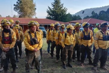 Brigadas forestales liquidan 8 incendios: Cofom