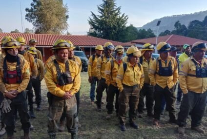 Brigadas forestales liquidan 8 incendios: Cofom