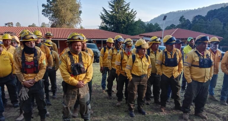 Brigadas forestales liquidan 8 incendios: Cofom