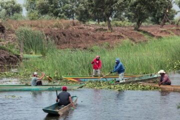 Lago de Pátzcuaro renace con 5 nuevos manantiales en Urandén: Compesca