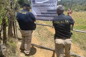 Ejecuta FGE orden de cateo en predio relacionado con tala y cultivo ilegal de aguacate en Pátzcuaro
