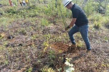 Reforestaciones mejor planeadas: Victor «Saladitas»