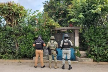 Fiscalía General asegura 540 dosis de droga y detiene a una persona en Charo, tras ejecución de cateo