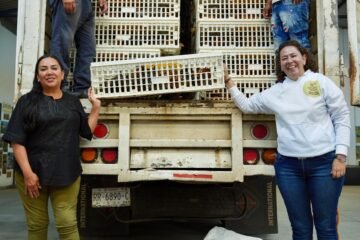 Comunidades rurales de Morelia reciben apoyo del programa Agrosano: Sader
