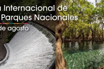 Descubre la riqueza natural que guardan los parques nacionales michoacanos: Sectur