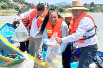 Gobierno de Michoacán siembra 15 mil crías de pescado blanco en el lago de Pátzcuaro