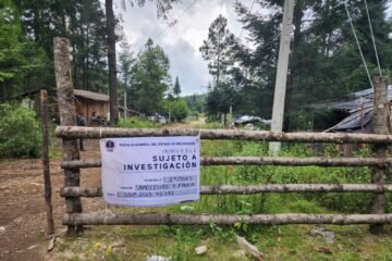 Cumplimenta FGE cateo en predio relacionado con tala ilegal en Zinapécuaro