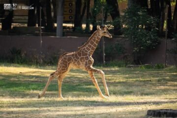 ¡Prepárate para estremecerte!