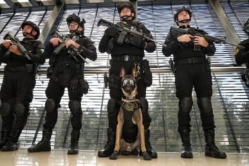 Binomios caninos de la Guardia Civil, aliados en el combate a la delincuencia: SSP