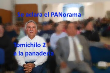 GRINGA, GRINGA: Oposición débil y fragmentada