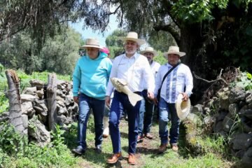 Para proteger al campo, Bedolla envía a Sheinbaum propuesta de precios justos del maíz