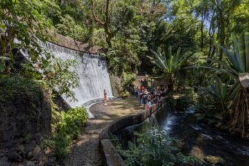 Descubre el corazón verde de Uruapan, el Parque Nacional Barranca del Cupatitzio