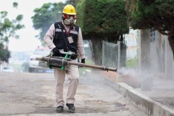 Registra Michoacán baja en casos de dengue en comparación al 2024: SSM