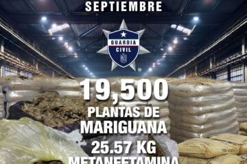 Decomisadas en septiembre 44 armas, 44 explosivos y más de 4 mil municiones: SSP