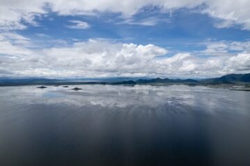 Inicia programa para rehabilitar más de 60 hectáreas del lago de Cuitzeo: Compesca