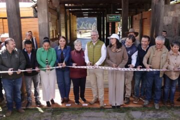 Abre Bedolla santuarios de la Monarca; llama a EUA y Canadá a acciones de conservación