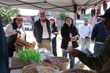 Programas federales beneficiarán al campo michoacano en 2026: Sader