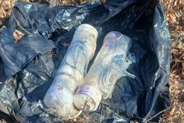 SSP desactiva dos artefactos explosivos en Buenavista