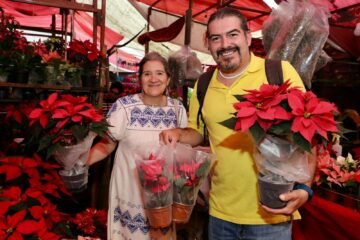 La Navidad florece en Michoacán; es el segundo mayor productor de Nochebuena en México: Bedolla