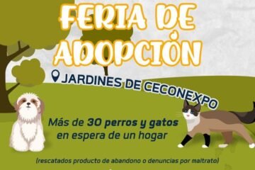 Invita FGE a la Feria de Adopción “Huella Solidaria” en coordinación con Asociaciones Civiles