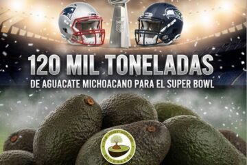 Michoacán enviará más de 120 mil toneladas de aguacate para el Super Bowl: Bedolla