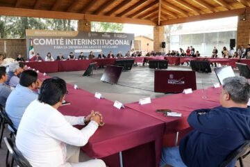 Empleo temporal para el rescate del lago de Pátzcuaro se reactiva en marzo: Bedolla