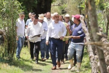 Recuperadas 500 hectáreas de superficie del lago de Pátzcuaro: Bedolla