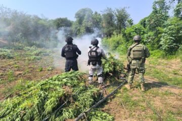 Guardia Civil decomisó en 2025 más de 8 toneladas de droga