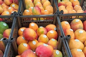 20 y 21 de febrero, Foro Internacional del Mango