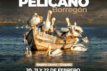 ¡Sé parte del 15° Festival Biocultural del Pelicano Borregón!