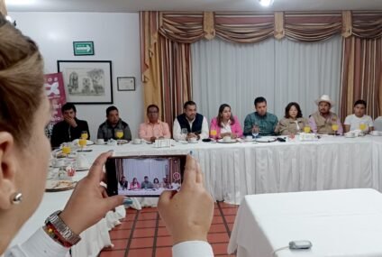 Conforman nuevo partido político, Somos México