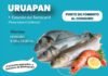 ¿Dónde comprar pescado de calidad y a bajo costo? Compesca inicia Programa de Cuaresma ¿Dónde comprar pescado de calidad y a bajo costo? Compesca inicia Programa de Cuaresma