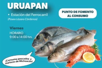 ¿Dónde comprar pescado de calidad y a bajo costo? Compesca inicia Programa de Cuaresma