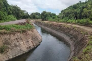 Con inversión de 2.1 mdp, Conagua asegura el riego de casi 7 mil hectáreas en Lázaro Cárdenas Con inversión de 2.1 mdp, Conagua asegura el riego de casi 7 mil hectáreas en Lázaro Cárdenas