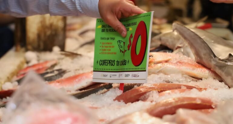 SSM activa operativo de Cuaresma; vigilará venta de pescados y mariscos SSM activa operativo de Cuaresma; vigilará venta de pescados y mariscos