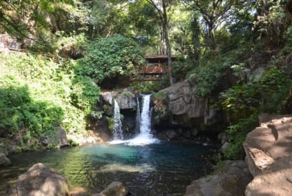 Habrá recorridos nocturnos dentro del Parque Nacional