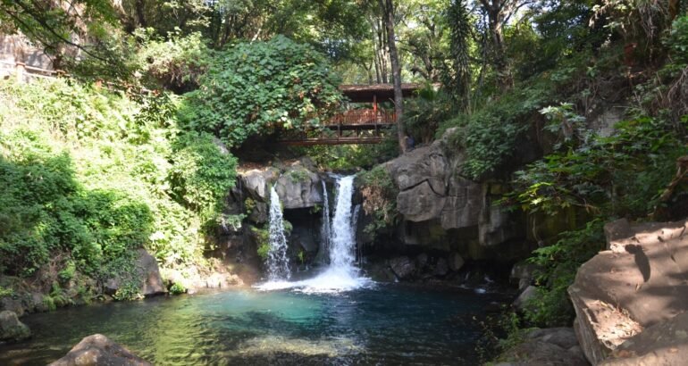 Habrá recorridos nocturnos dentro del Parque Nacional
