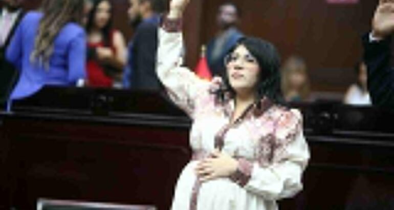 Vanhe Caratachea presenta iniciativa para proteger de violencia de género a madres jefas de familia