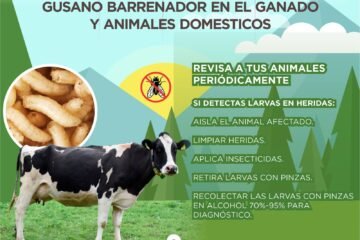 🐄⚠️ Atención productores y dueños de animales domésticos