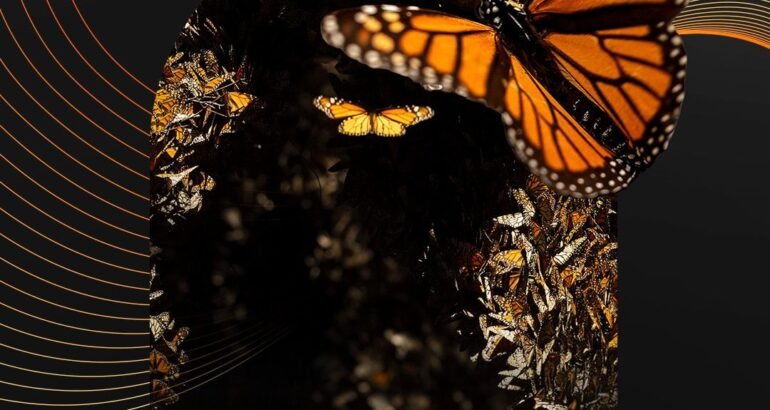 ¡Es momento de votar! Michoacán está nominado a los premios Lo Mejor de México 2026 ¡Es momento de votar! Michoacán está nominado a los premios Lo Mejor de México 2026