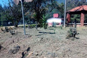 Jornada de limpieza, en parque ecológico Bernal