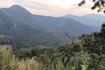 Huáncito, pretende despojar a Carapan de 800 hectáreas