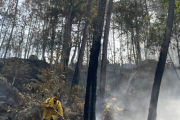 Incendio en Área Natural Protegida de Tzitzio, controlado al 100 %