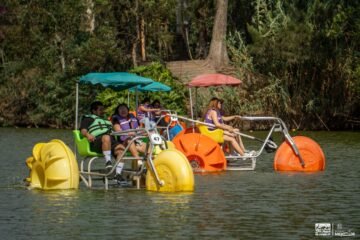 ¡Vive una aventura acuática en el Zoológico de Morelia!