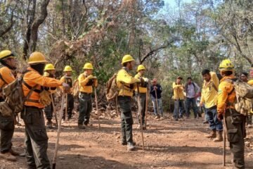 Controlado al 100 % incendio en Nuevo Urecho