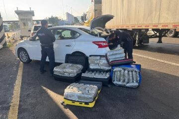 Aseguran Guardianes del Camino 5 maletas con 65 kilos de mariguana en la Autopista de Occidente: SSP Aseguran Guardianes del Camino 5 maletas con 65 kilos de mariguana en la Autopista de Occidente: SSP