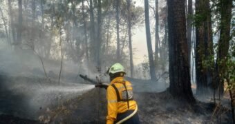 Brigadistas sofocaron un incendio en La Charanda