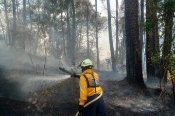 Brigadistas sofocaron un incendio en La Charanda