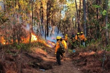 Controlado parcialmente el incendio de Nuevo Urecho